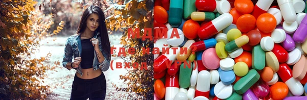 PSILOCYBIN Богданович