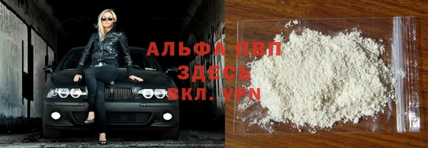 PSILOCYBIN Богданович