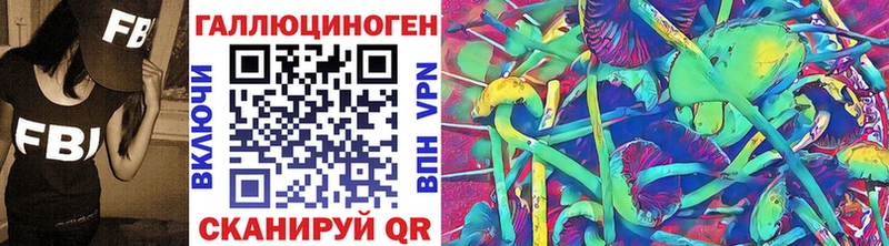 Псилоцибиновые грибы Psilocybine cubensis Купить где Терек